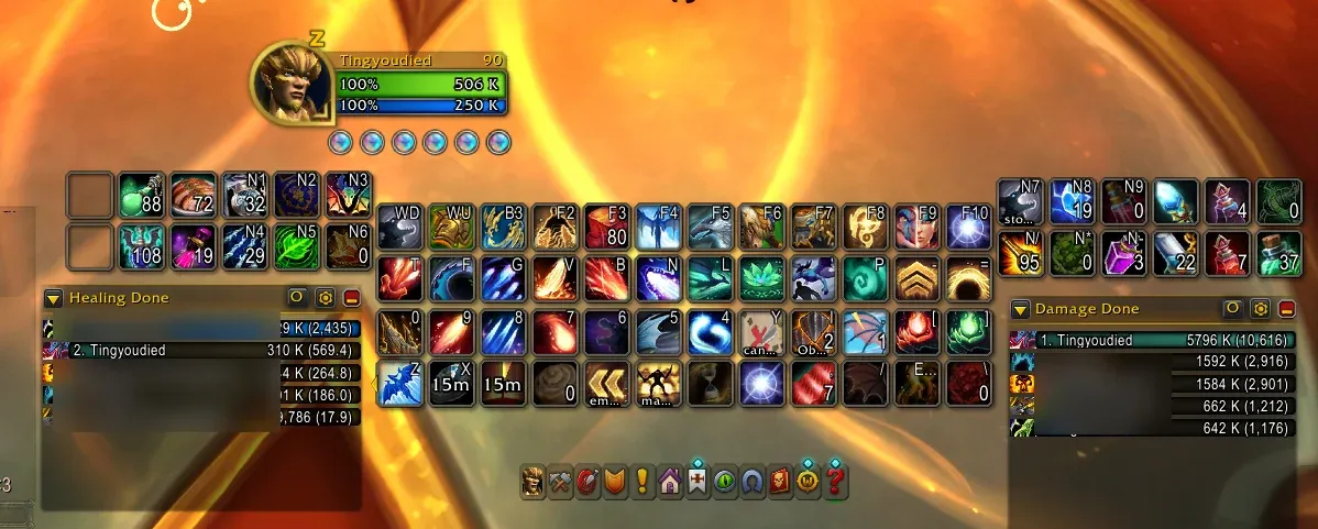 World of Warcraft action bars for the character Tingyoudied, with keybind labels on each button and damage and healing meters below; other players' names are blurred